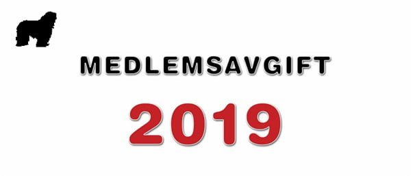 Bergamasco Medlemsavgift 2019