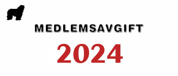 bergamasco-medlemsavgift-2024
